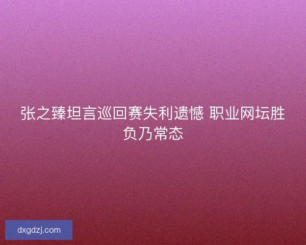 张之臻坦言巡回赛失利遗憾 职业网坛胜负乃常态 张之臻坦言巡回赛失利遗憾 职业网坛胜负乃常态