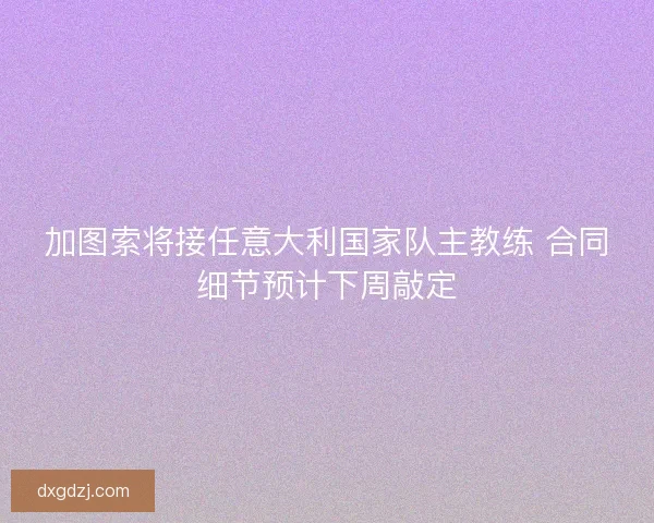 加图索将接任意大利国家队主教练 合同细节预计下周敲定 加图索将接任意大利国家队主教练 合同细节预计下周敲定